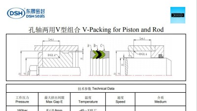 孔軸兩用V型組合密封圈Rod規格尺寸表