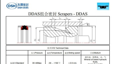 DDAS組合密封規格尺寸表