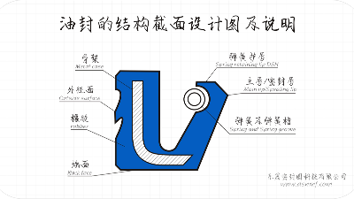 車用骨架油封的多種類型簡述？