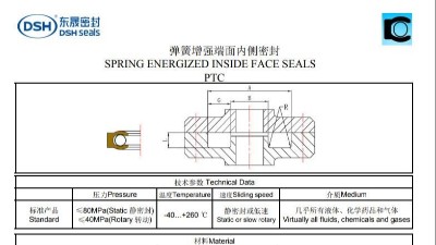 新版彈簧增強端面內側密封
