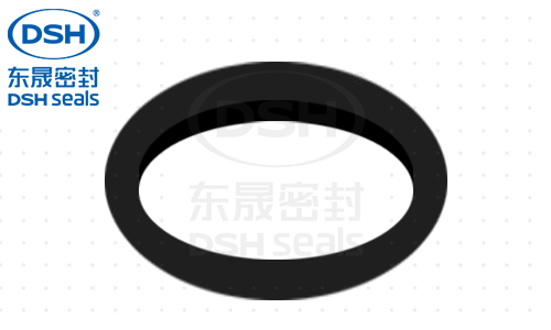旋轉泛塞封密封圈