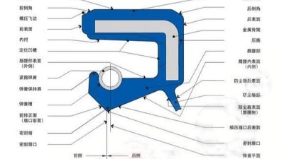 一個內包<i style='color:red'>骨架密封圈</i>每個部位的名稱術語大全！！